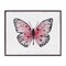 Stupell Industries Pink Toned Vintage Butterfly Framed Giclee, design by Janet Tava